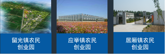 全力助推河南新鄉(xiāng)封丘縣委托招商引資，立足特色產(chǎn)業(yè)，打造魅力封丘