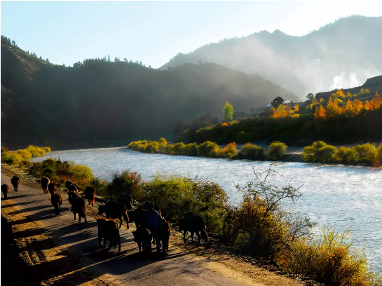 集團(tuán)全力助推甘肅甘南藏族自治州合作市委托招商引資，搶占發(fā)展先機(jī)壯大高原支柱產(chǎn)業(yè)
