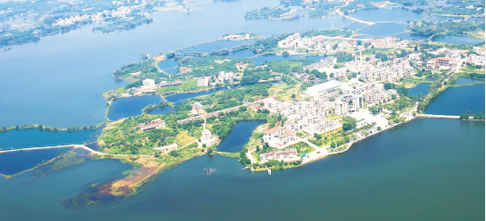集團(tuán)全力助推廣東湛江廉江市委托招商引資，圍繞優(yōu)勢(shì)產(chǎn)業(yè)補(bǔ)鏈、強(qiáng)鏈、延鏈