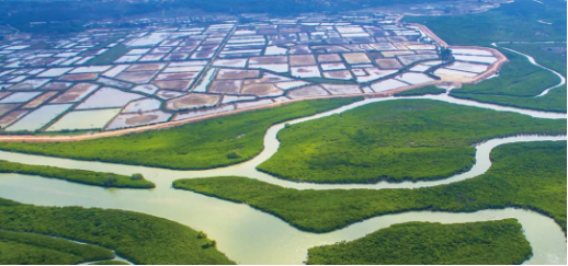 集團(tuán)全力助推廣東湛江廉江市委托招商引資，圍繞優(yōu)勢(shì)產(chǎn)業(yè)補(bǔ)鏈、強(qiáng)鏈、延鏈