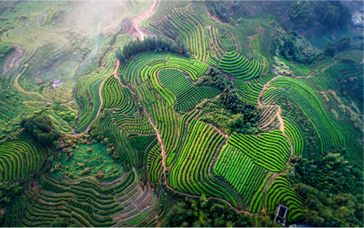 集團(tuán)全力助推福建寧德周寧縣委托招商引資，強(qiáng)化特色產(chǎn)業(yè)實(shí)力，為全縣高質(zhì)量發(fā)展增添新動(dòng)力