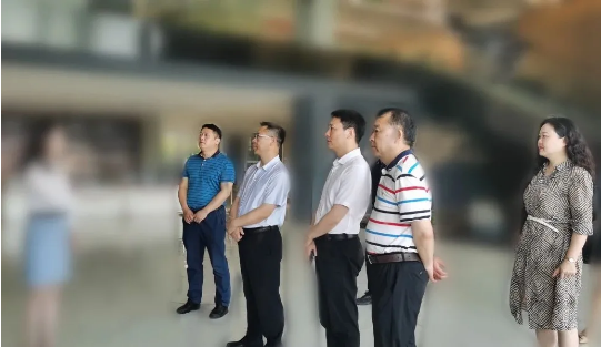 專業(yè)服務，助推政企聯(lián)動！湖北某地方政府成功對接考察多功能家具生產(chǎn)投資選址項目企業(yè)