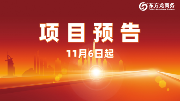 搶抓進博機遇，堅持一線開發(fā)！11月6日起，17家優(yōu)質(zhì)投資選址企業(yè)精準對接全國政府園區(qū)