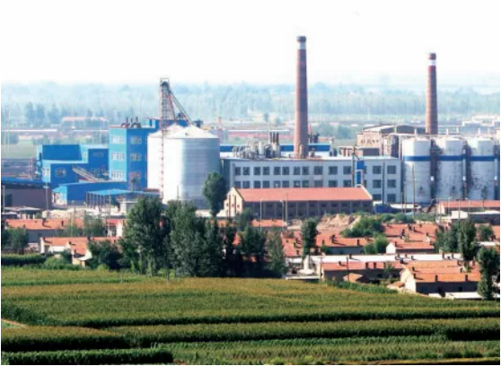 集團(tuán)全力助推內(nèi)蒙古自治區(qū)通遼市委托招商引資，強(qiáng)勢(shì)打造五大產(chǎn)業(yè)集群高質(zhì)量發(fā)展新格局