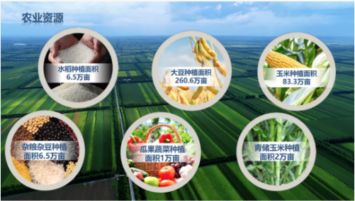集團(tuán)全力助推黑龍江齊齊哈爾拜泉縣委托招商引資，立足資源優(yōu)勢，開辟產(chǎn)業(yè)集群高質(zhì)量發(fā)展新高地
