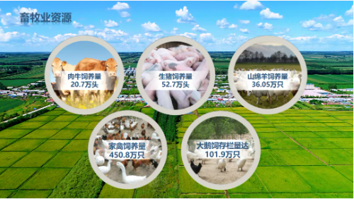 集團(tuán)全力助推黑龍江齊齊哈爾拜泉縣委托招商引資，立足資源優(yōu)勢，開辟產(chǎn)業(yè)集群高質(zhì)量發(fā)展新高地
