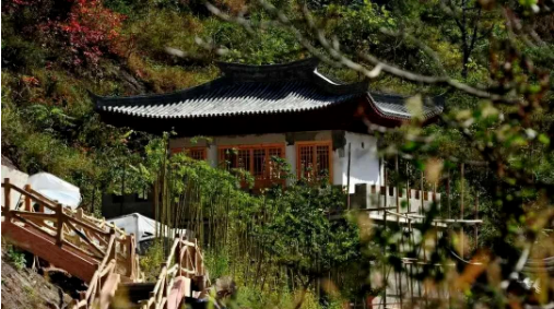 集團(tuán)全力助推甘肅隴南康縣委托招商引資，以綠色發(fā)展推動(dòng)鄉(xiāng)村振興