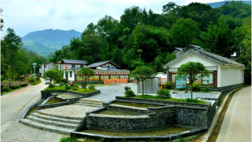集團(tuán)全力助推甘肅隴南康縣委托招商引資，以綠色發(fā)展推動(dòng)鄉(xiāng)村振興