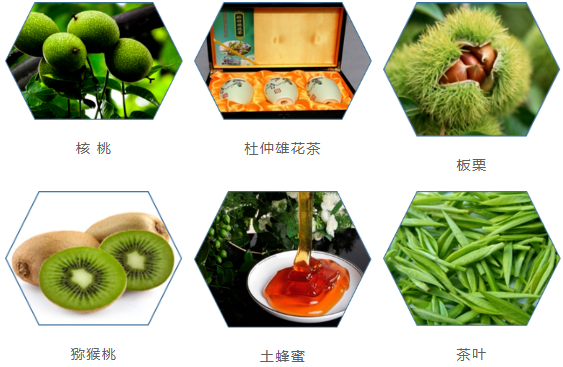 集團(tuán)全力助推甘肅隴南康縣委托招商引資，以綠色發(fā)展推動(dòng)鄉(xiāng)村振興