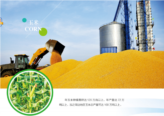 集團(tuán)全力助推黑龍江嫩江市委托招商引資，以6大優(yōu)勢助推地方產(chǎn)業(yè)高質(zhì)量發(fā)展