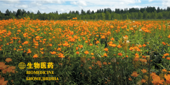 集團全力助推黑龍江大興安嶺委托招商引資，聚力將“冷資源”轉(zhuǎn)化為“熱經(jīng)濟”！