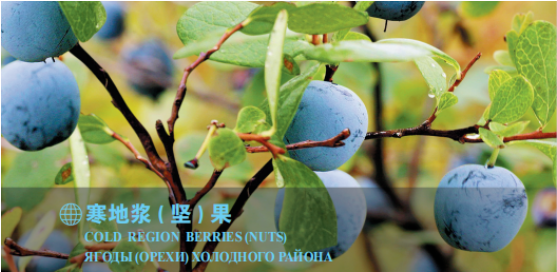 集團全力助推黑龍江大興安嶺委托招商引資，聚力將“冷資源”轉(zhuǎn)化為“熱經(jīng)濟”！