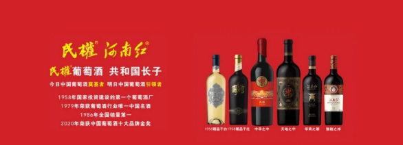 集團(tuán)全力助推河南商丘民權(quán)縣委托招商引資，奮力打造民權(quán)特色產(chǎn)業(yè)發(fā)展高地