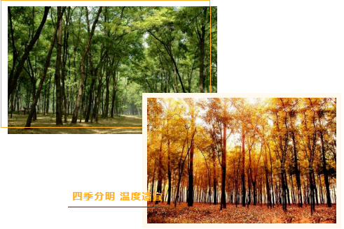 集團(tuán)全力助推河南商丘民權(quán)縣委托招商引資，奮力打造民權(quán)特色產(chǎn)業(yè)發(fā)展高地