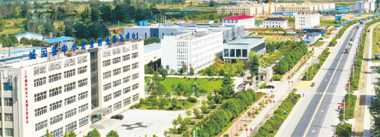 集團(tuán)全力助推陜西省城固縣委托招商引資，打造百億級產(chǎn)業(yè)集群