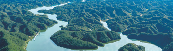 集團(tuán)全力助推陜西省城固縣委托招商引資，打造百億級產(chǎn)業(yè)集群