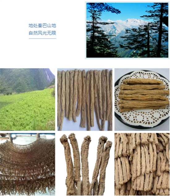 東方龍商務(wù)集團(tuán)全力助推甘肅隴南文縣委托招商招商引資，重點(diǎn)構(gòu)建特色農(nóng)業(yè)、優(yōu)勢(shì)工業(yè)、文旅康養(yǎng)三大產(chǎn)業(yè)集群