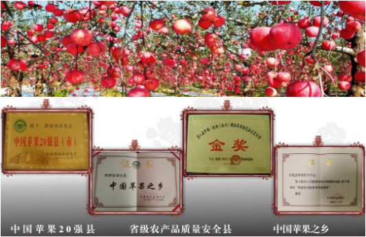 集團(tuán)全力助推陜西淳化縣委托招商引資，打造優(yōu)勢(shì)特色產(chǎn)業(yè)集群