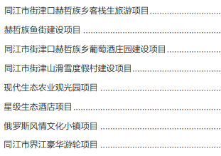 集團全力助推黑龍江省同江市委托招商引資，充分挖掘開發(fā)潛能，再次綻放邊陲魅力