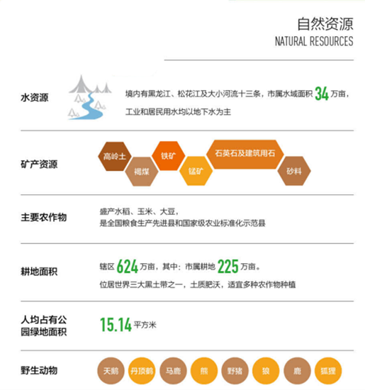 集團全力助推黑龍江省同江市委托招商引資，充分挖掘開發(fā)潛能，再次綻放邊陲魅力