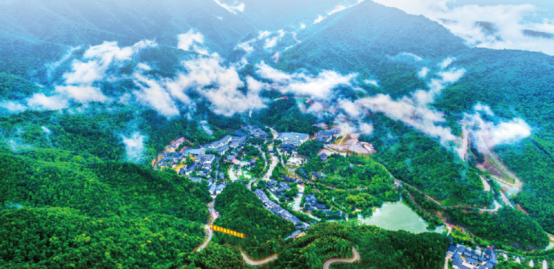 集團全力助推黑龍江省同江市委托招商引資，充分挖掘開發(fā)潛能，再次綻放邊陲魅力