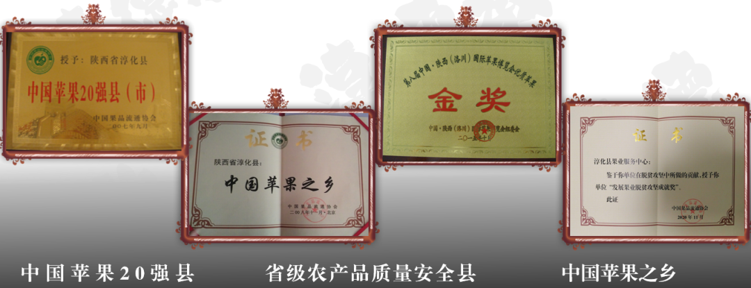 集團全力助推陜西淳化縣委托招商引資，激發(fā)產(chǎn)業(yè)新活力，培育發(fā)展新動能！