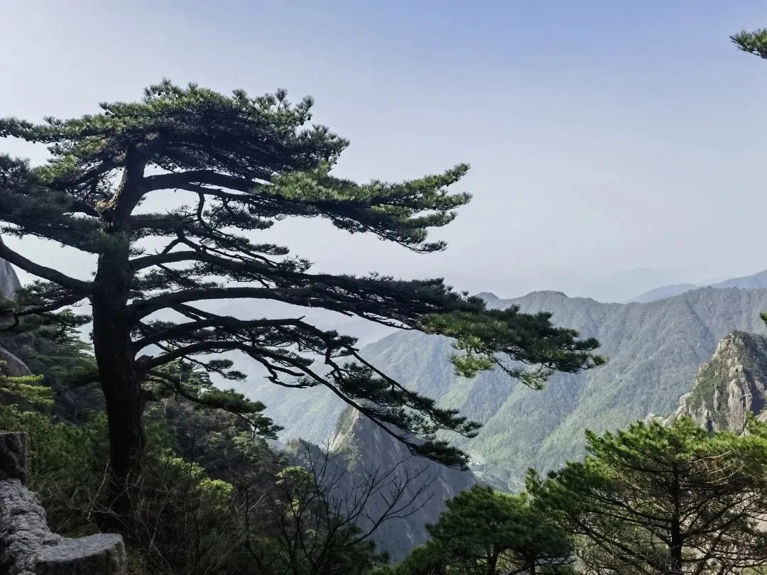 東方龍商務(wù)與春天有個約會！集團(tuán)100余人赴安徽黃山“團(tuán)建”，太嗨了！“奔跑二季度”——我們準(zhǔn)備好了！